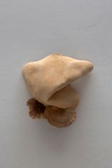 Study for potential metamorphoses XXVI by Yasam Sasmazer contemporary artwork mixed media sculpture