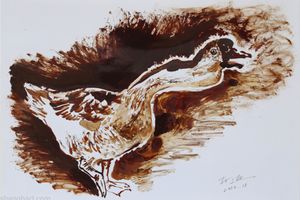 Sun Xun