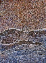 The Little Swamp at Worbody Point by Mavis Ngallametta contemporary artwork painting