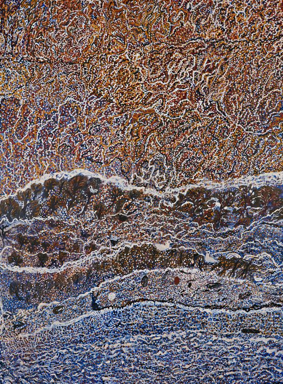 The Little Swamp at Worbody Point by Mavis Ngallametta contemporary artwork Painting