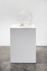 Quem nao cuida de si que e terra erra by Laura Vinci contemporary artwork sculpture