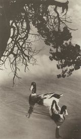 The Spring River Grows Warm by Lang Jingshan contemporary artwork photography