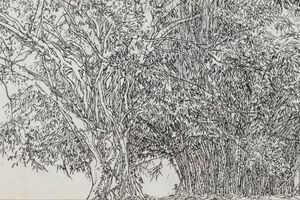 Yuan Yunsheng