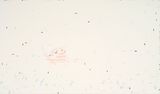 Protests NY 50501 April 19th 2025 by Rose Shakinovsky contemporary artwork painting