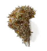 Adornment by Sahlah Davids contemporary artwork mixed media