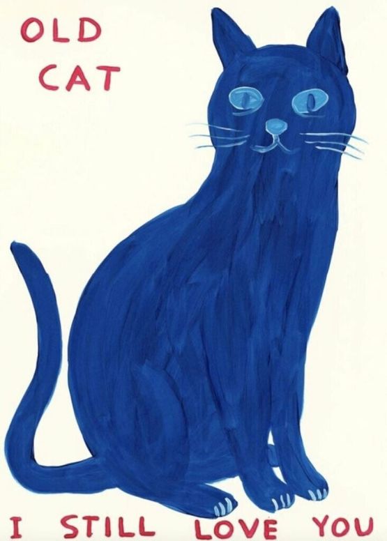 Old Cat I Still Love You by David Shrigley contemporary artwork Print
