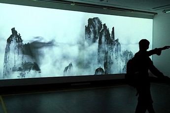 Contemporary art exhibition Jin Jiangbo Rules of Nature at Starkwhite Auckland New Zealand
