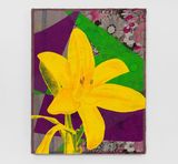Daylily by Shezad Dawood contemporary artwork painting textile