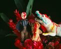 qARADISE by Nobuyoshi Araki contemporary artwork Photography