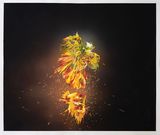 Mutation XLVI by Francesca Gabbiani contemporary artwork painting