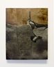 Dust and Water II by Biraaj Dodiya contemporary artwork Painting