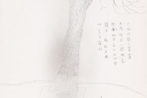 Shen Ling
