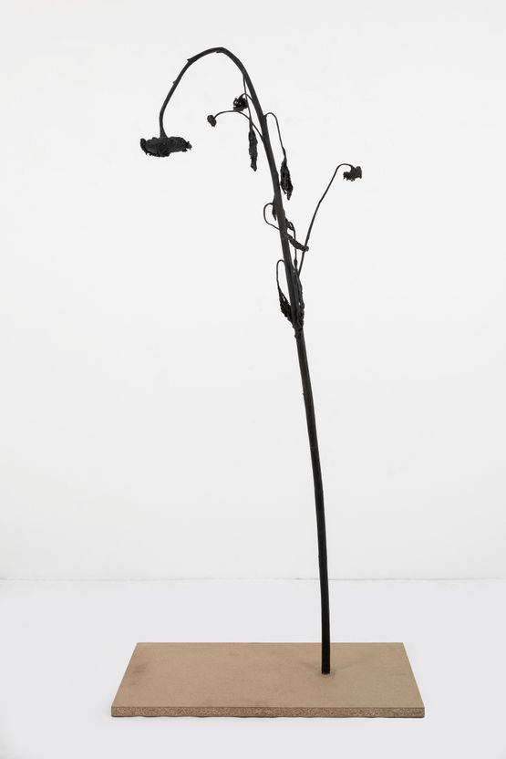 Black Sunflower 01 by Martin Grandits contemporary artwork Sculpture