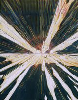 Duty No. 1 by Jiang Pengyi contemporary artwork print