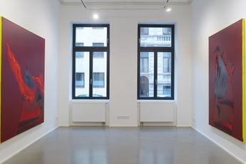 Contemporary art exhibition Daniel Lergon Crimson at Galerie Christian Lethert Cologne Germany