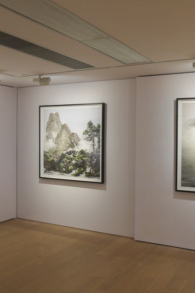 New Perspectives on Chinese Painting