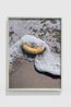 Banana on the Beach by Roe Ethridge contemporary artwork Photography