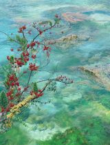 The Red I Want to Show by Won Seoung Won contemporary artwork photography print
