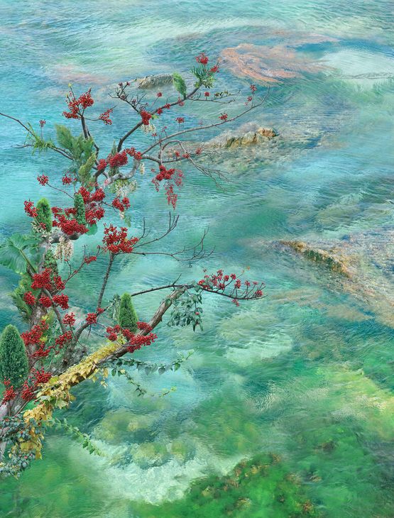 The Red I Want to Show by Won Seoung Won contemporary artwork Photography