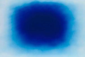 Anish Kapoor