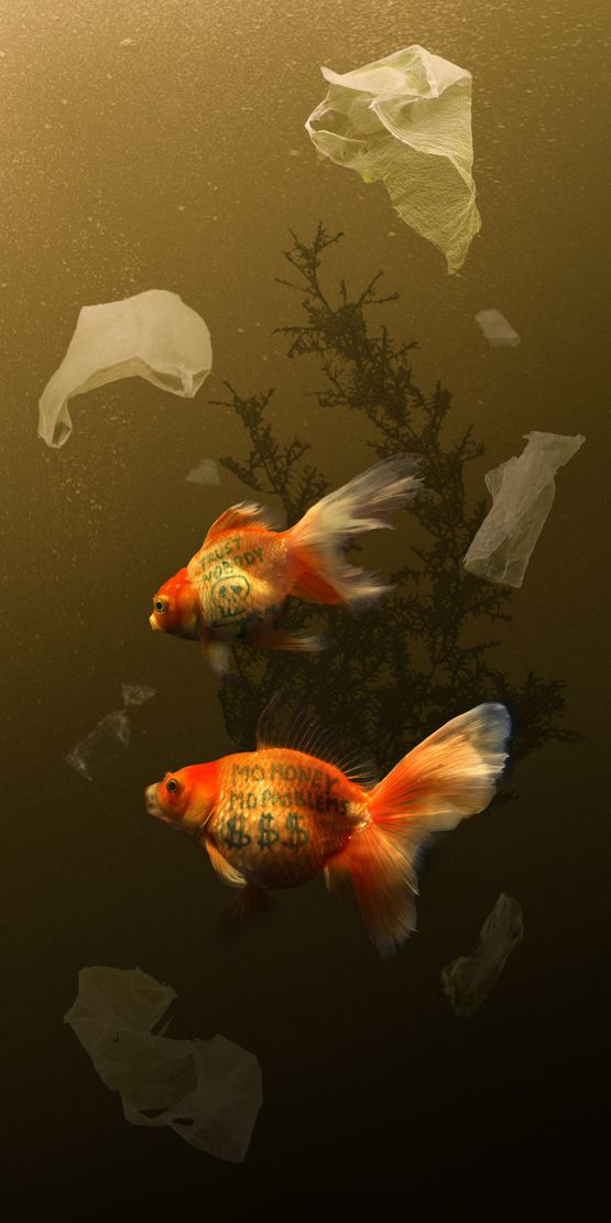 Two Goldfish by Agan Harahap contemporary artwork Print