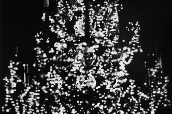 Yuji Ono contemporary artist