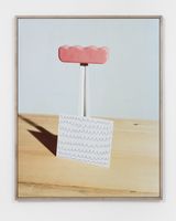The Floridian Urodisny by Lucas Blalock contemporary artwork photography