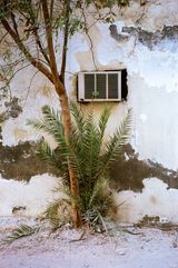 Eau De Vie 12.18 by Georges Yammine contemporary artwork photography