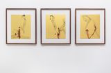 Suisai LXVII by Gabriel Orozco contemporary artwork works on paper
