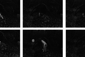 Andy Goldsworthy