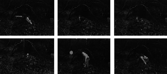 Leaves gathered into a mound buried myself Alwoodley Yorkshire January 1977 by Andy Goldsworthy contemporary artwork Photography