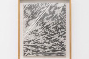 Han Jin