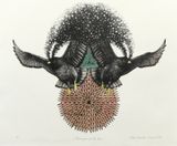 Messengers of the Sun by Albert Yonathan Setyawan contemporary artwork print