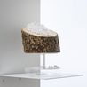 Seed Feeder by Judy Darragh contemporary artwork Painting