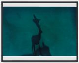 Alterego by Lothar Baumgarten contemporary artwork print
