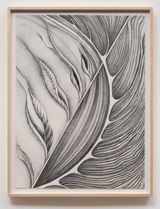 Fossil 5 Unfolding by Faith Wilding contemporary artwork drawing works on paper