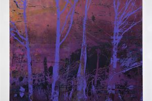 Elizabeth Magill