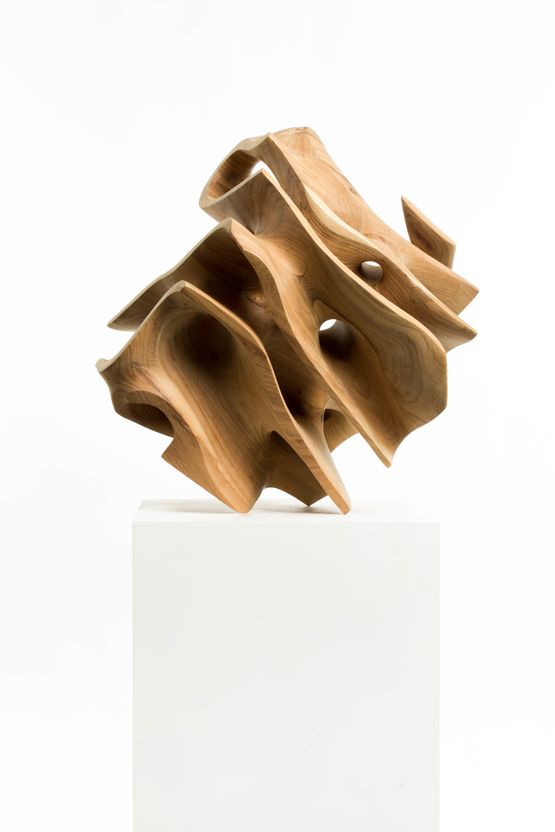 I will transcend my limits by Driaan Claassen contemporary artwork Sculpture