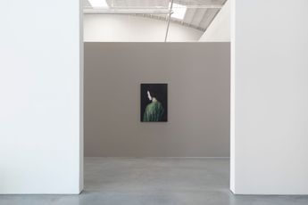 Contemporary art exhibition Mia Middleton Summoning Cleo at Roberts Projects Los Angeles United States