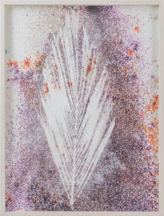 Untitled Venice CA Palm drawing 6 by Sam Falls contemporary artwork Works on Paper