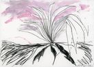 Nowhere Special Found you again by Tae Parvit contemporary artwork Works on Paper