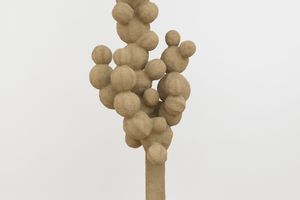 Oren Pinhassi