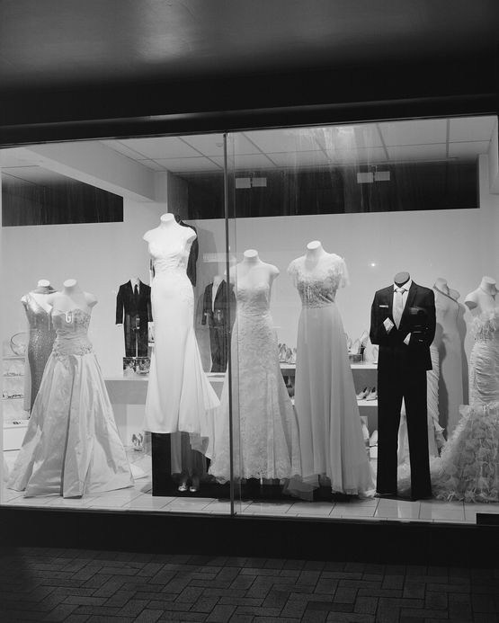 Untitled window display Wellington New Zealand by Harry Culy contemporary artwork Photography