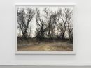 March 13 2006The East Meadows Northampton Massachusetts by Joel Sternfeld contemporary artwork Photography