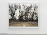 March 13 2006The East Meadows Northampton Massachusetts by Joel Sternfeld contemporary artwork photography