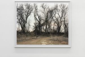 Joel Sternfeld