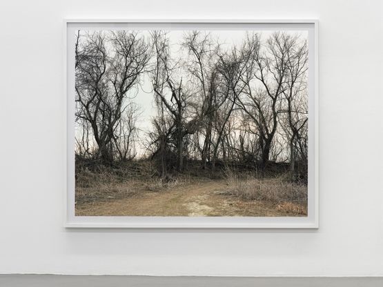 March 13 2006The East Meadows Northampton Massachusetts by Joel Sternfeld contemporary artwork Photography