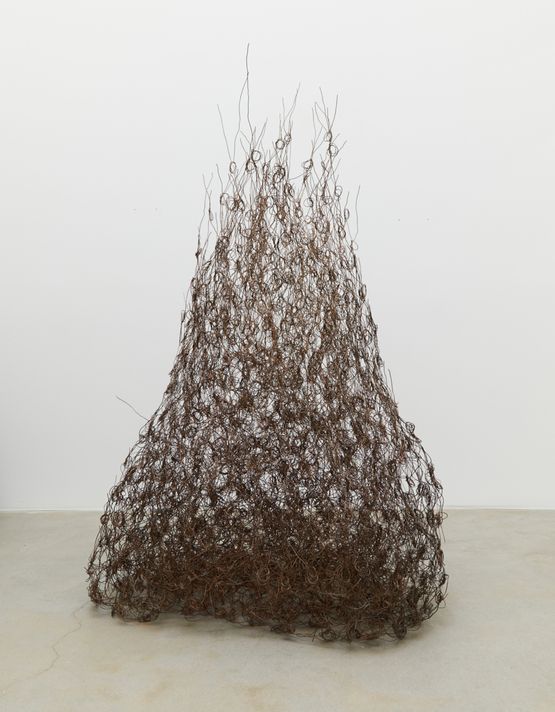 Blazing Be by Alan Saret contemporary artwork Sculpture