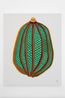 The Seeds by Kim Bohie contemporary artwork Painting