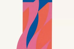 Bridget Riley